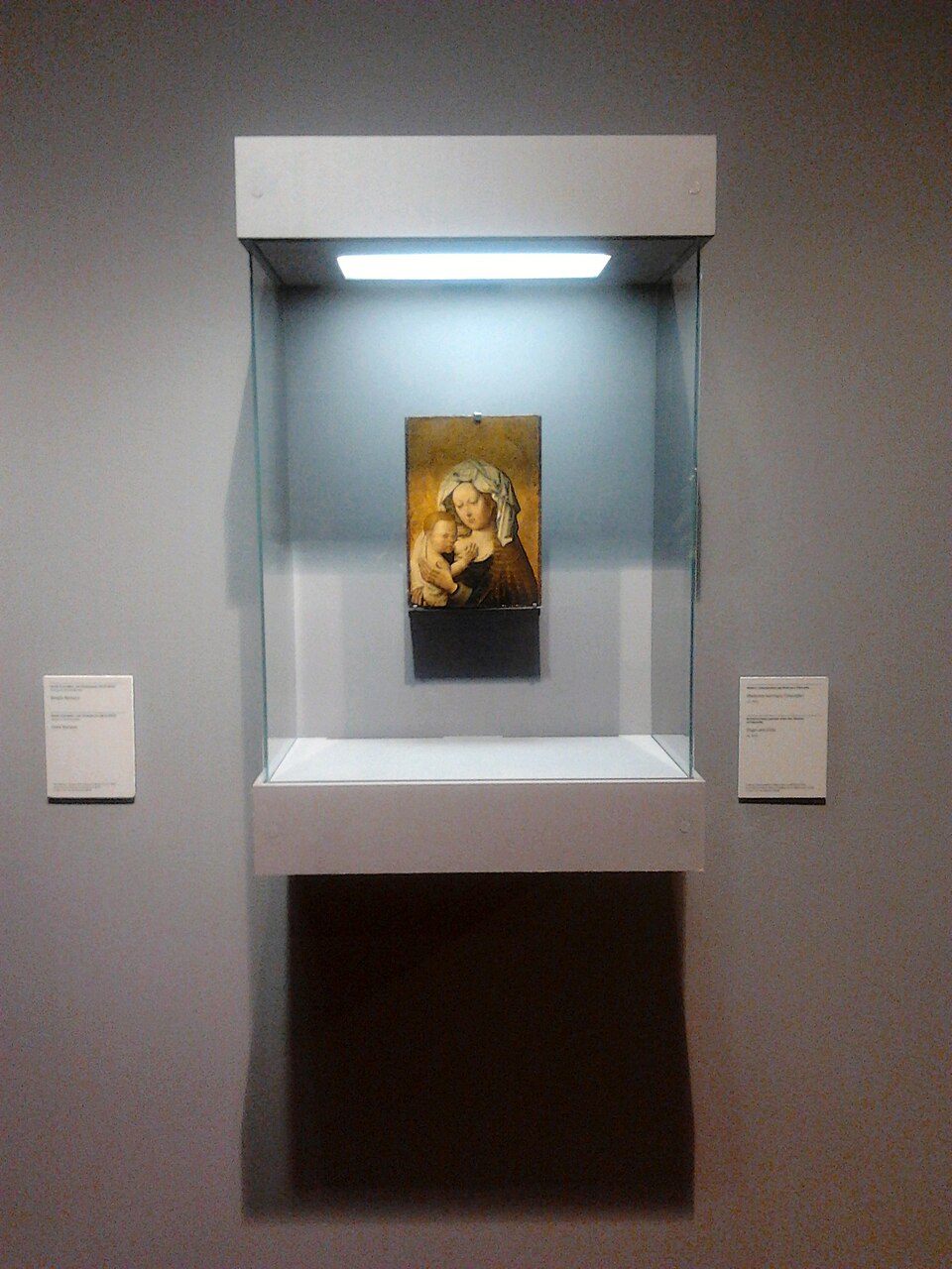 Museum Display Case