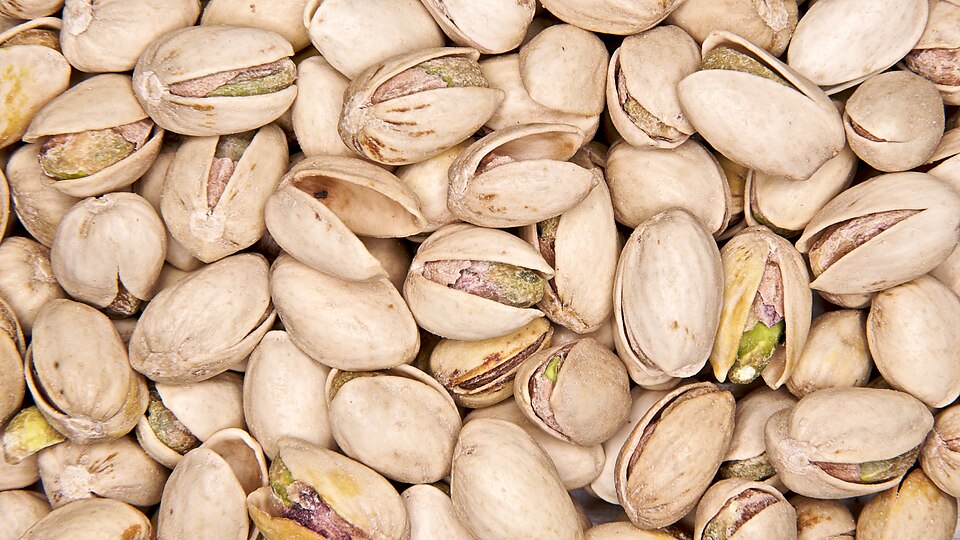 Tree Nut Shaker
