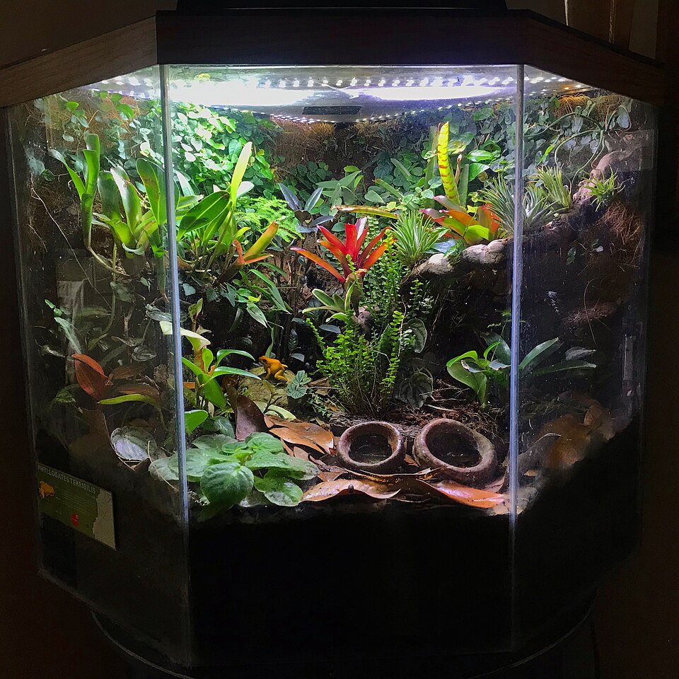 Pet Incubator