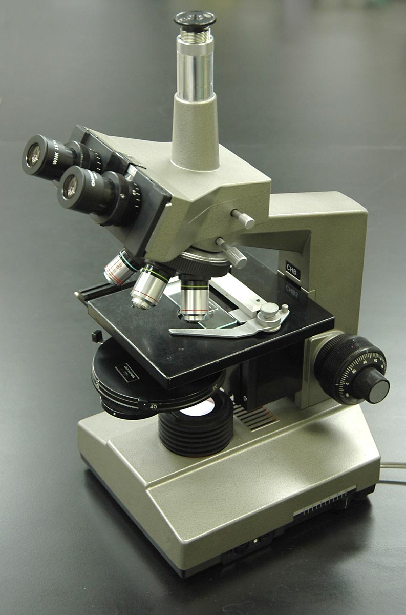 Phase Contrast Microscope