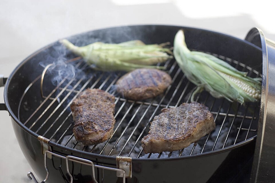 Portable Gas Grill