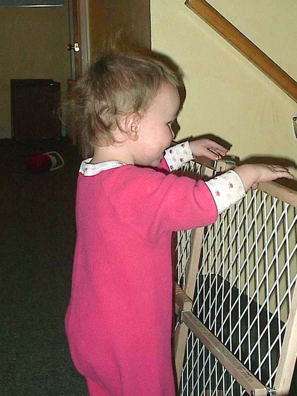 Pressure Baby Gate