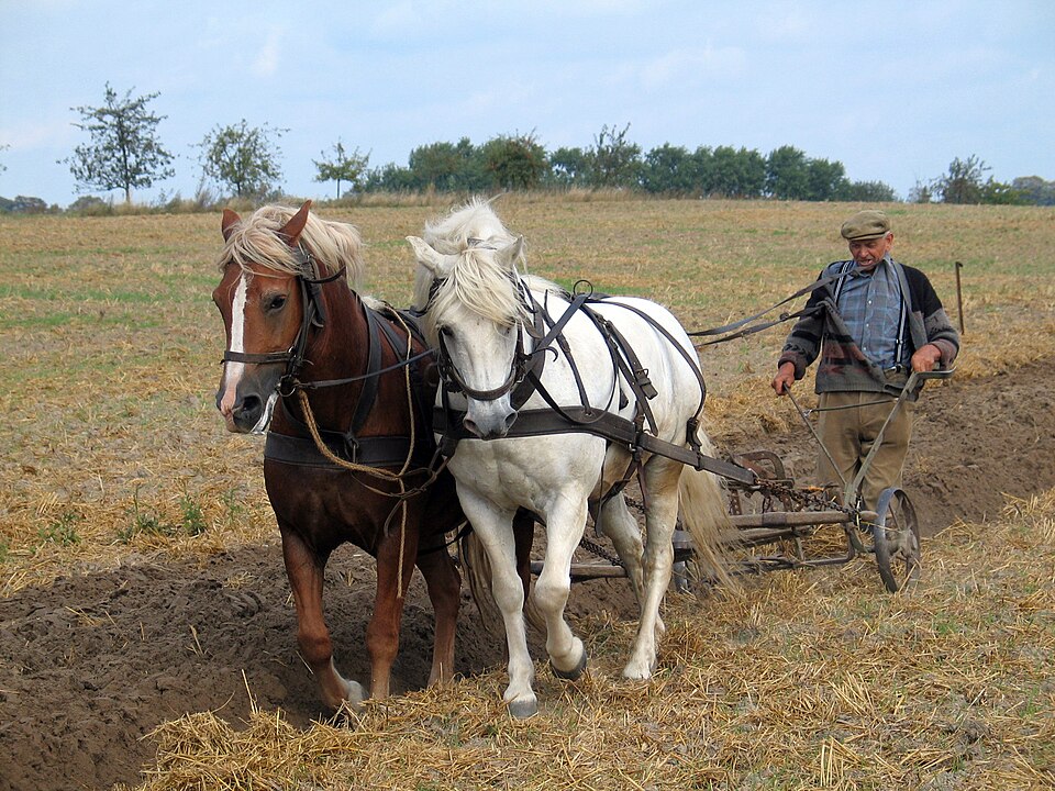 Reversible Plough