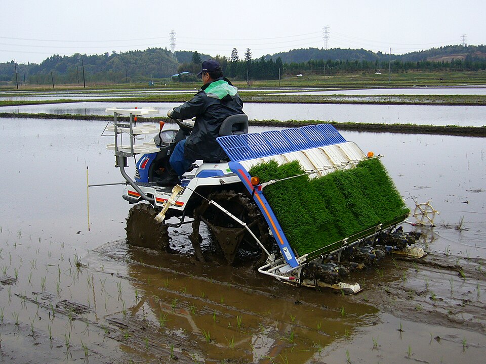 Rice Transplanter