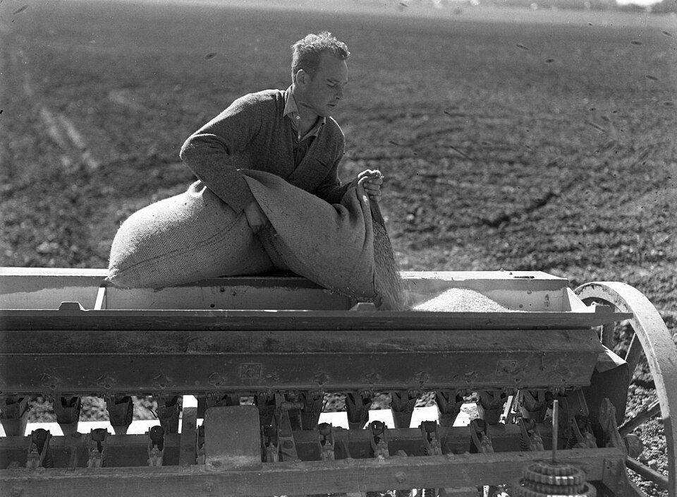 Seed Drill