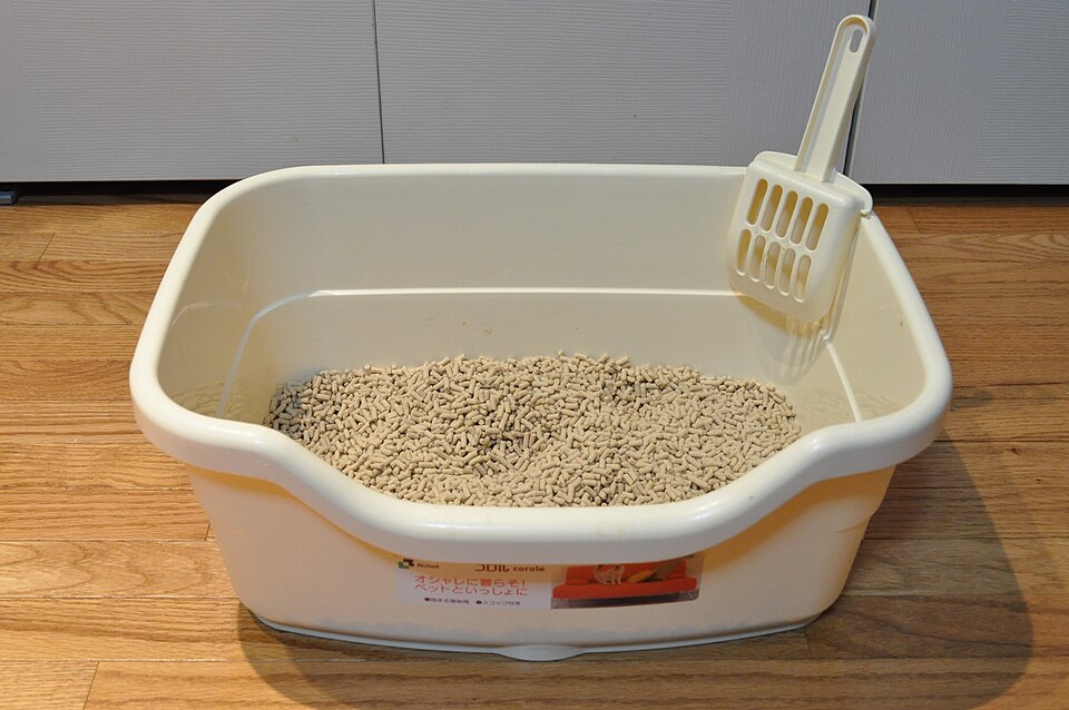Self-Cleaning Litter Box
