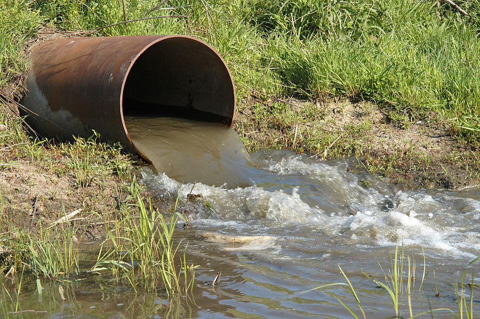 Sewage/Effluent Pump