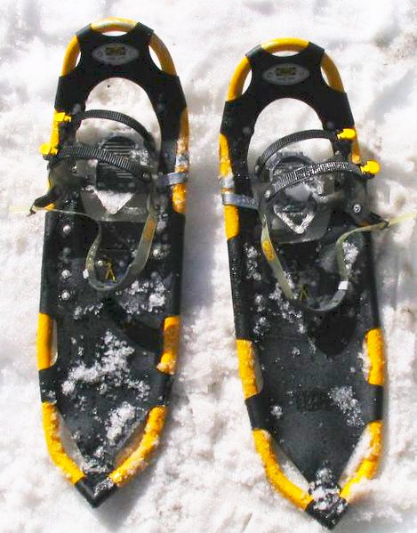 Snowshoes