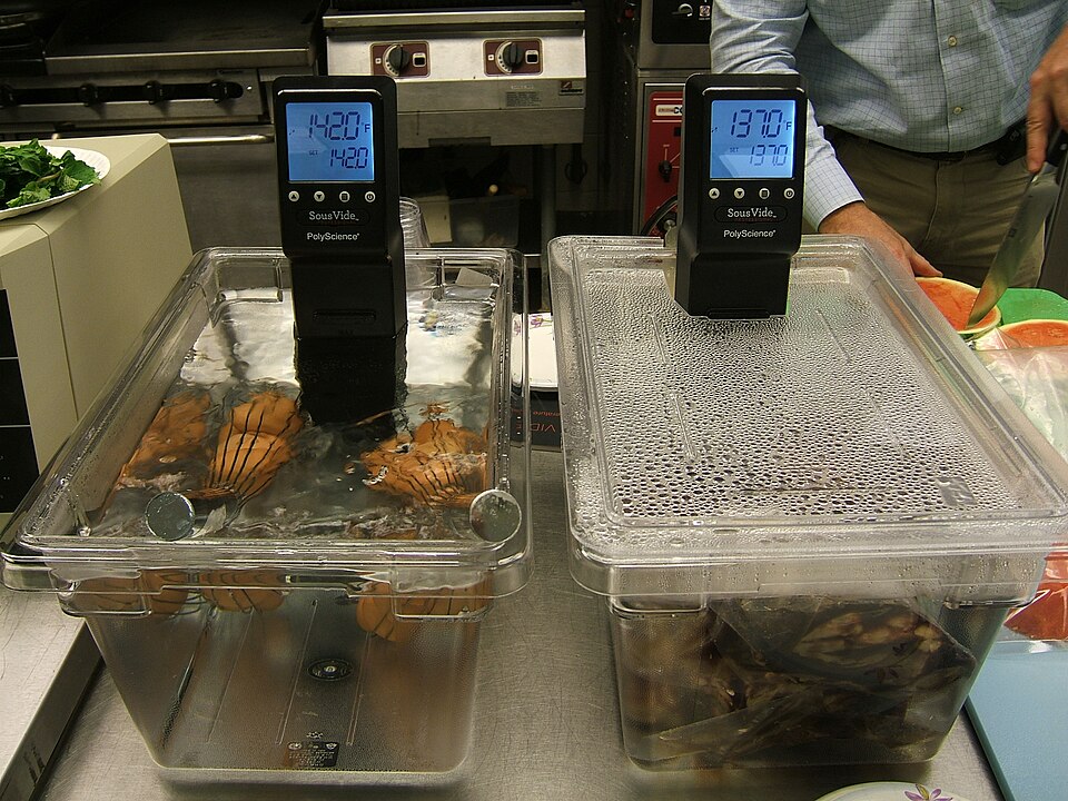 Sous Vide Immersion Circulator