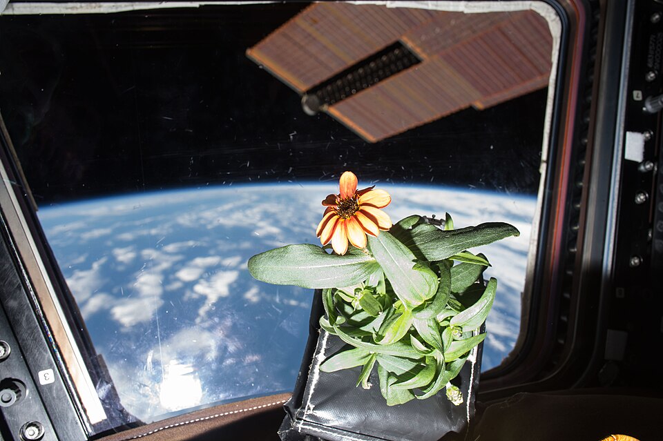 Space Plant Growth Chamber