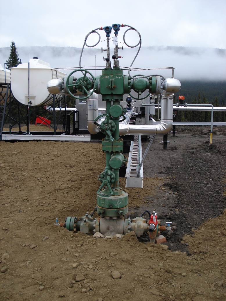 Subsea Wellhead Tree