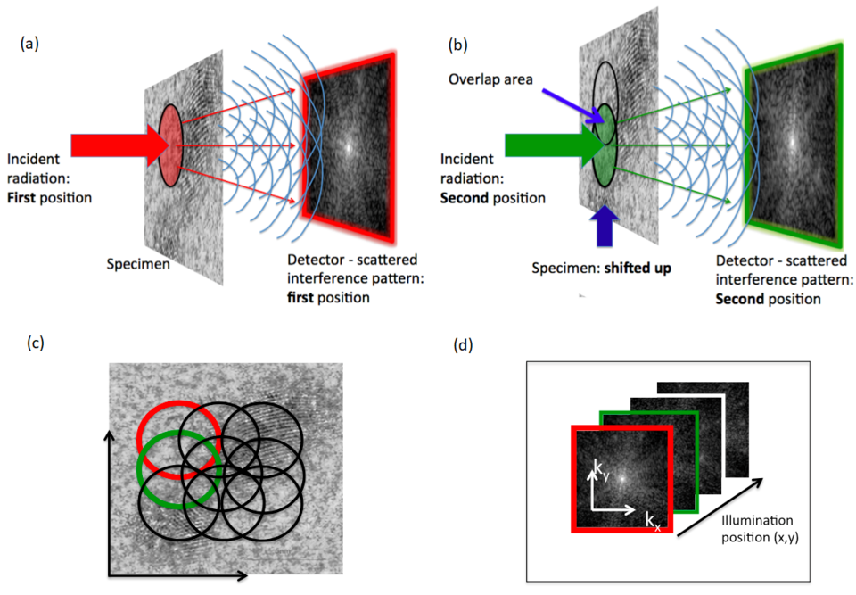 Tabletop Electron Microscope