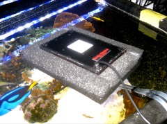 Algae Turf Scrubber