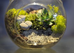 Aviary Misting System