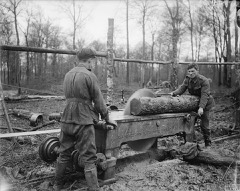 Portable Bandsaw Mill