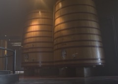 Fermentation Tank: Conical tank where wort ferments into beer under controlled conditions