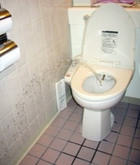 Electronic Bidet Seat