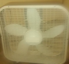Box Fan: Square-framed multi-blade fan that sits in a window or on the floor