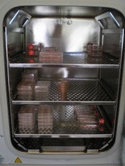 CO2 Incubator