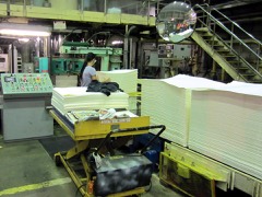 Kraft Pulp Bale