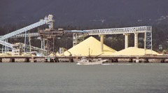 Belt Conveyor System