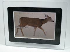 Digital Photo Frame