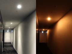 Emergency Exit Light