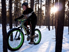 Fat Bike