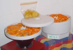Stackable Food Dehydrator