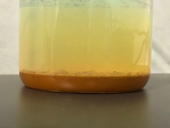 Fuel Polishing System