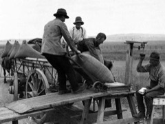 Grain Bagger