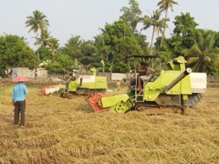 Grain Cleaning Machine: Machine that removes chaff and foreign matter from grain
