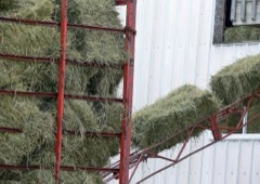 Hay Bale Elevator