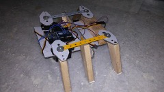 Hexapod Robot