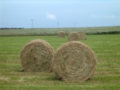 Large Round Baler