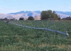 Lateral Move Irrigation Machine