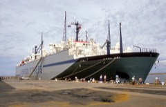 Livestock Carrier: A multi-deck ship that transports live cattle and sheep in ventilated open-sided pens