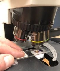 Rotary Microtome