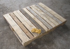 Pallet Truck Scale