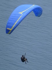 Paraglider