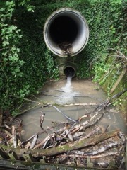 Pipe Laser