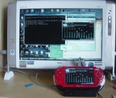 Portable Monitor