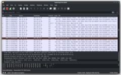 Protocol Analyzer
