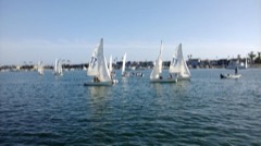 Racing Dinghy: Small lightweight sailboat raced single- or double-handed