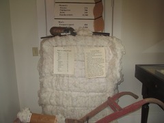Cotton Lint