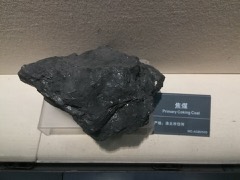 Metallurgical Coal