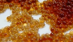 Resin Reactor