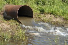 Sewage/Effluent Pump