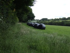 Silage Bagging Machine: Machine that packs chopped forage into long sealed plastic storage bags