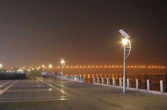 Solar Street Light